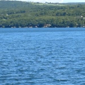 Meet your Posher, Jeremy